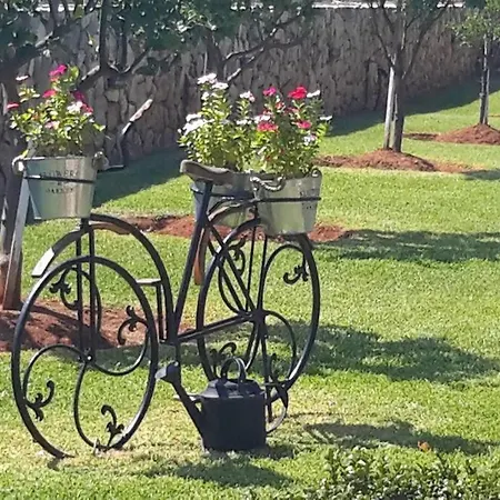 Paloma Сasa de vacaciones *