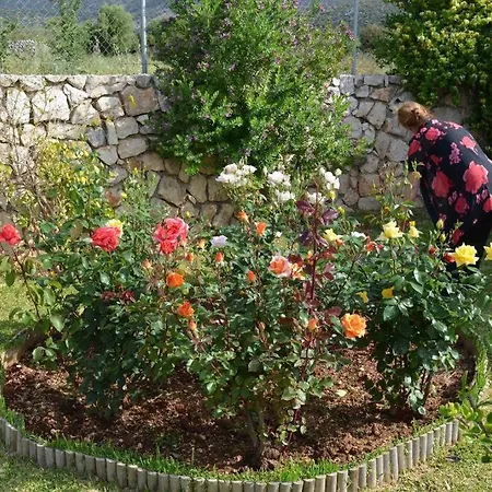 Paloma Case de vacanță Karavádhos