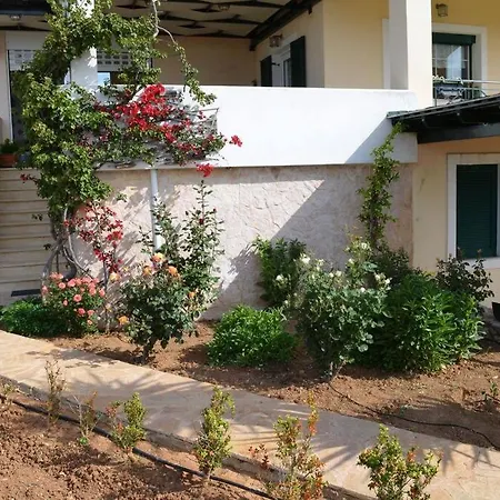 Paloma Case de vacanță *