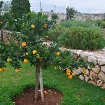 Paloma *