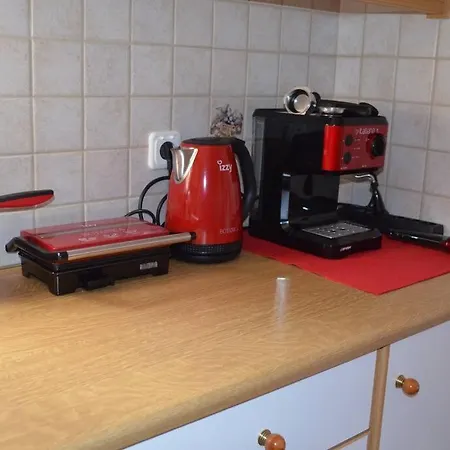 Paloma * Karavádosz