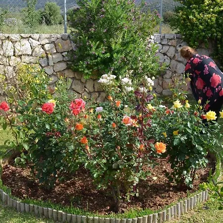 Paloma Holiday home Karavados