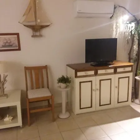 Paloma * Karavados